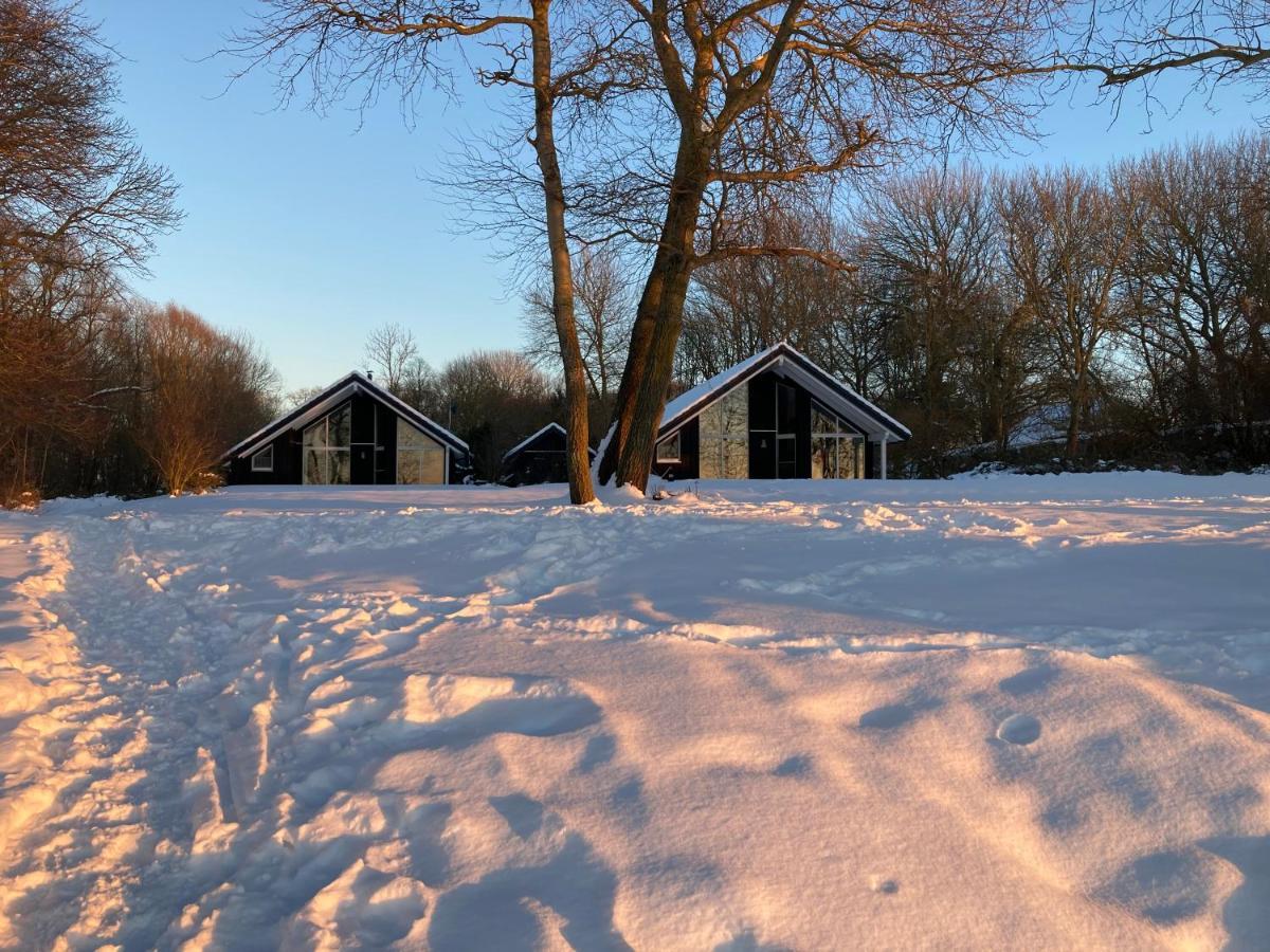Ferienhaeuser Boddenstrand Wiek auf Rügen Zewnętrze zdjęcie